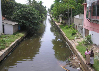 Негомбо, Шри-Ланка, фото № 51900 – фотографии Шри-Ланки