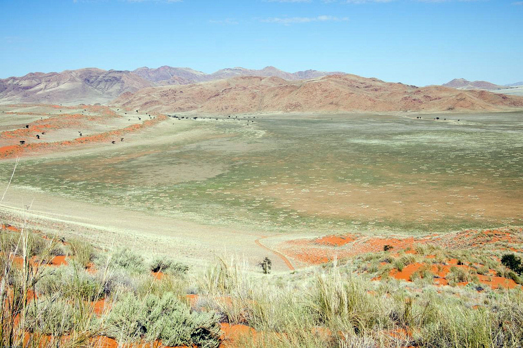 Загадочные круги на полях в Намибии. Фото 7 – фотографии Намибии