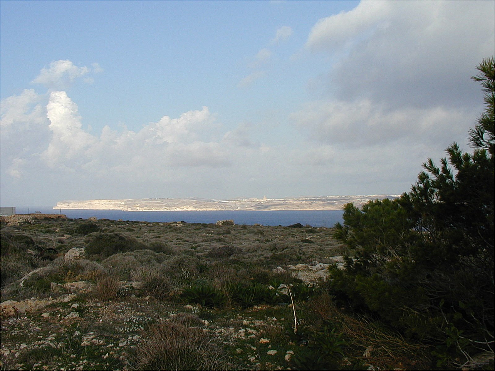 Марфа, Мальта остров, Мальта, фото № 42344 – фотографии Мальты