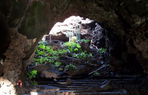 Хамеос-дель-Агуа, Лансароте остров, Канарские острова, фото № 32846 – фотографии Канарских островов