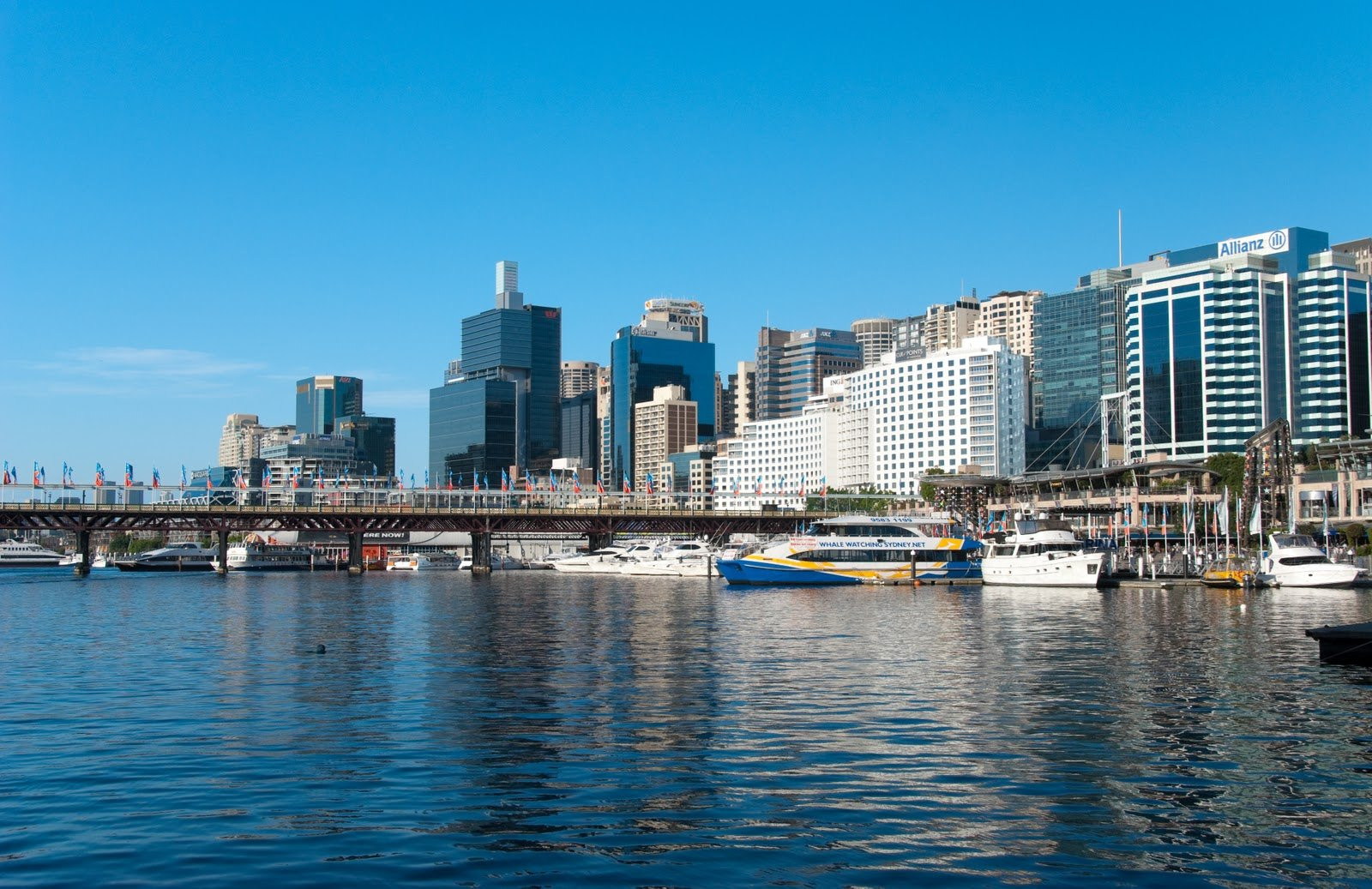 Вид на Сидней с прогулочного катера, Австралия – фотографии Австралии