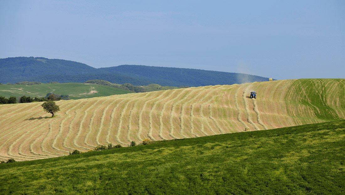Тоскана, Италия, фото № 77947 – фотографии Италии