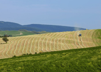 Тоскана, Италия, фото № 77947 – фотографии Италии