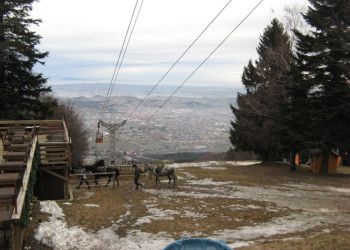 Мариборско Похорье, Словения, фото № 57331 – фотографии Словении