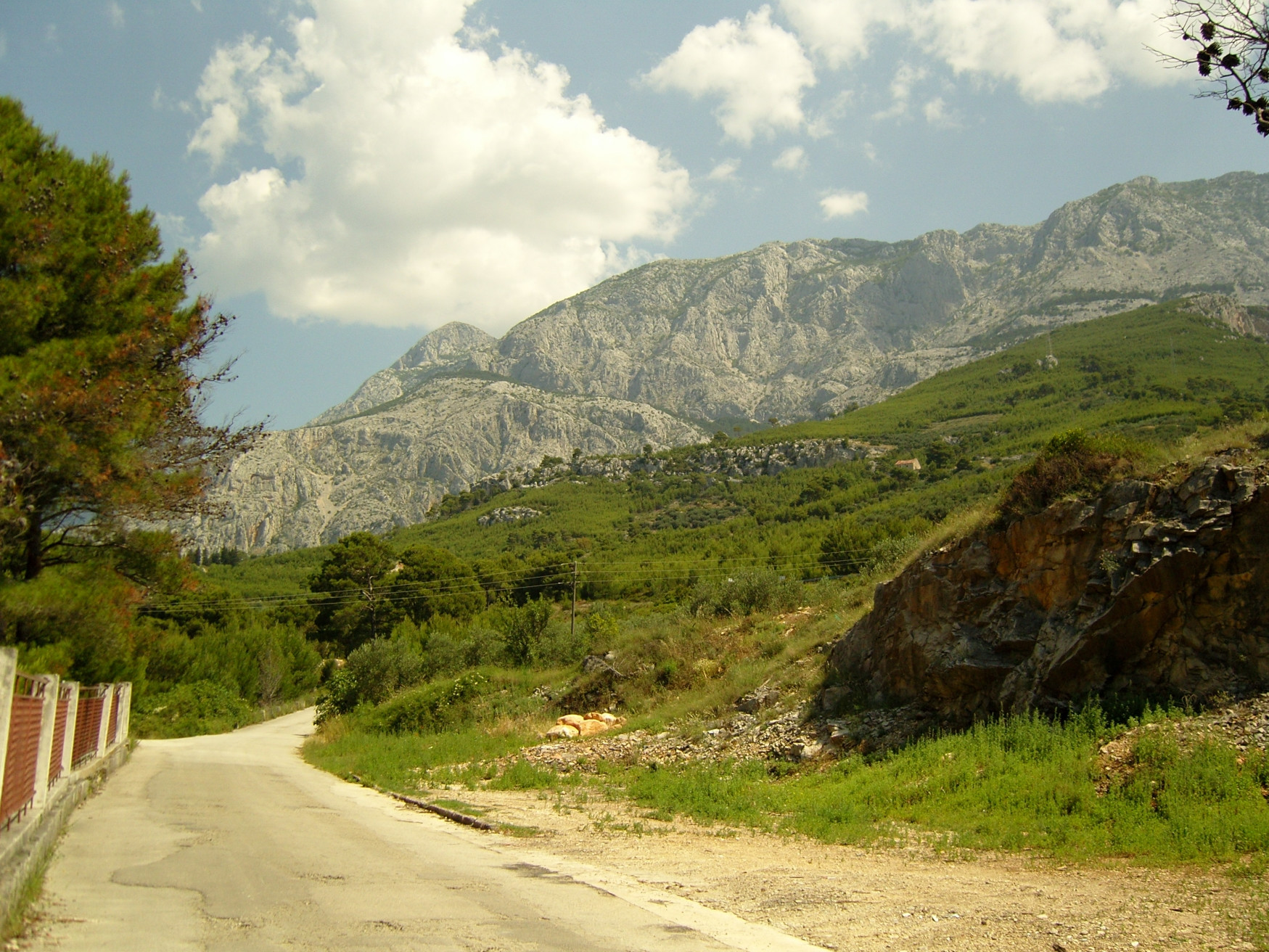 Дорога в Природный парк, Хорватия – фотографии Хорватии