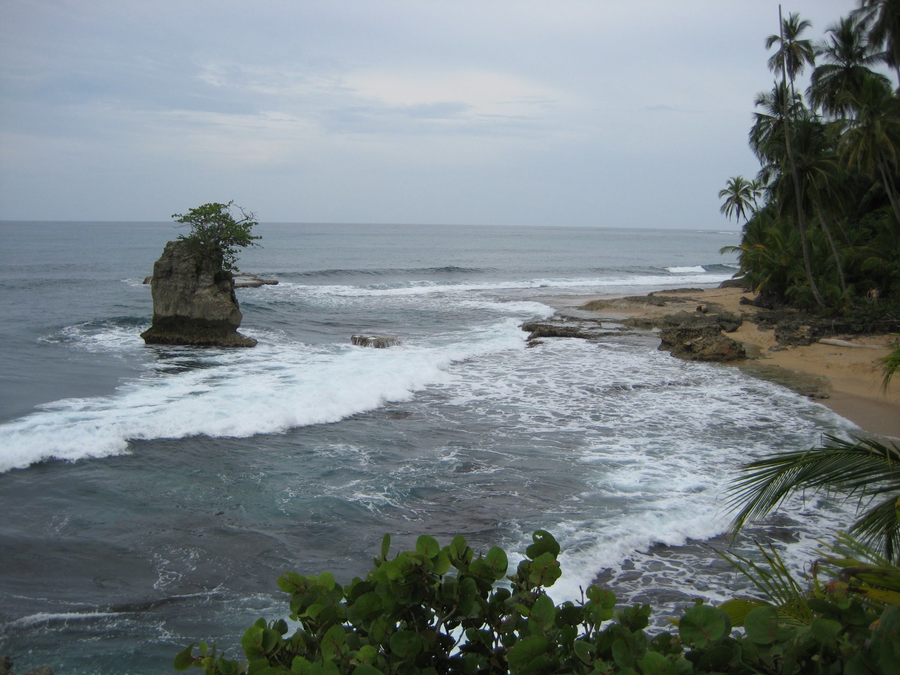 Манзанилло, Лимон провинция, Коста-Рика, фото № 40132 – фотографии Коста-Рики