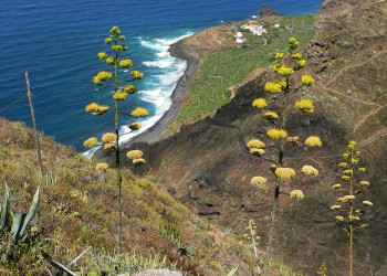 Барловенто, Ла-Пальма остров, Канарские острова, фото № 31808 – фотографии Канарских островов