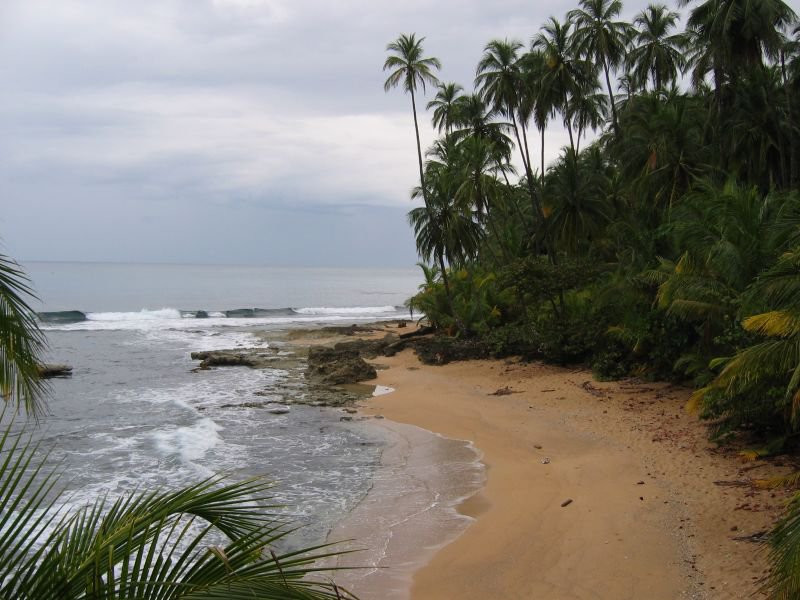 Манзанилло, Лимон провинция, Коста-Рика, фото № 40119 – фотографии Коста-Рики