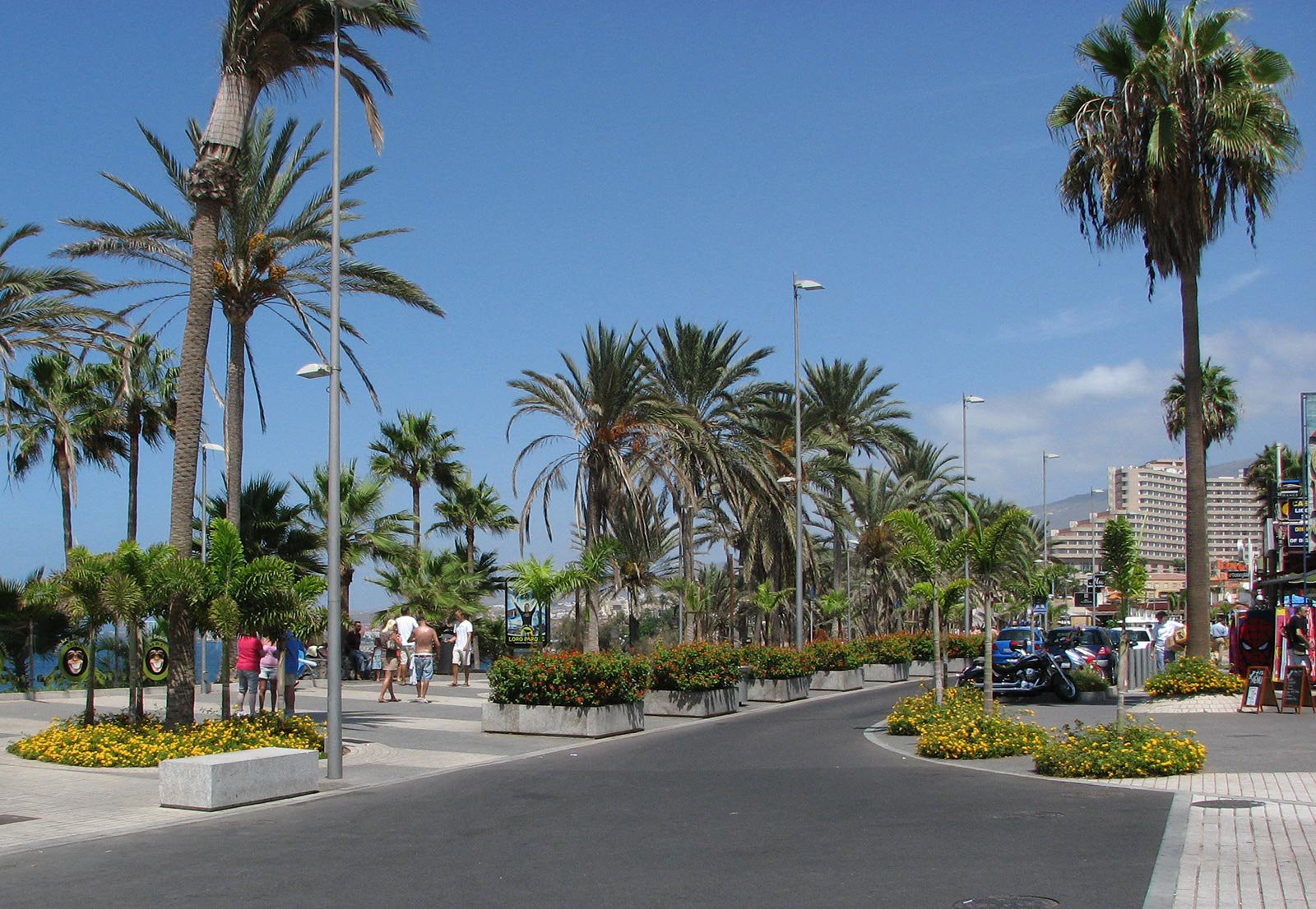 Плайя-де-лас-Америкас, Тенерифе остров, Канарские острова, фото № 33553 – фотографии Канарских островов