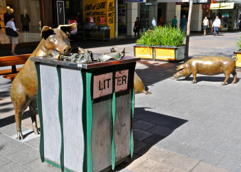 Бронзовые свинки в Аделаиде, Австралия – фотографии Австралии