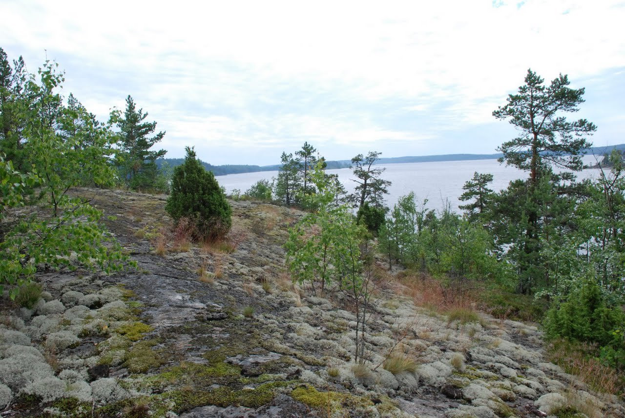 Природа на Ладожском озере, Россия. Фото 1 – фотографии России