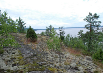 Природа на Ладожском озере, Россия. Фото 1 – фотографии России