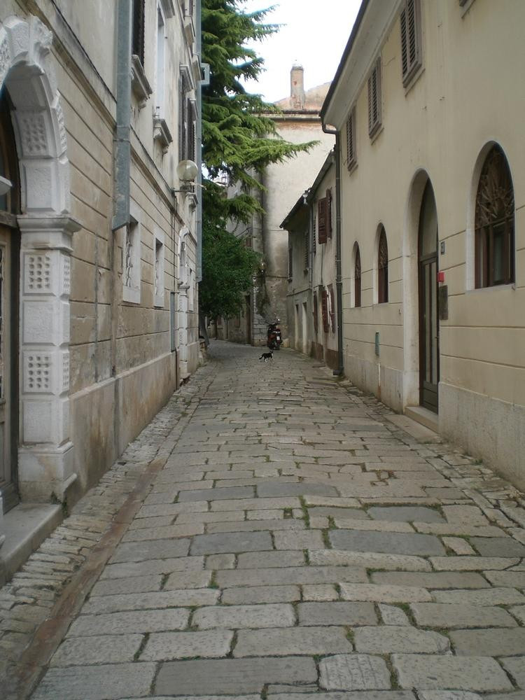 Улица Врсара, Хорватия. Фото 9 – фотографии Хорватии