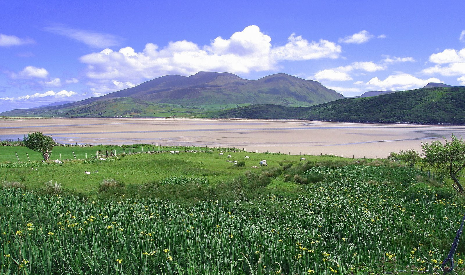 Ирландия, фото № 2546 – фотографии Ирландии