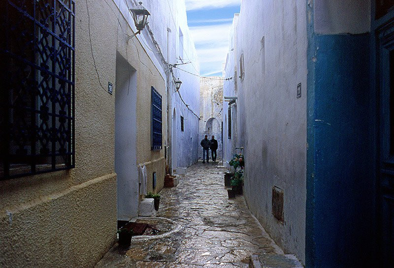Улица в Северном Тунисе – фотографии Туниса