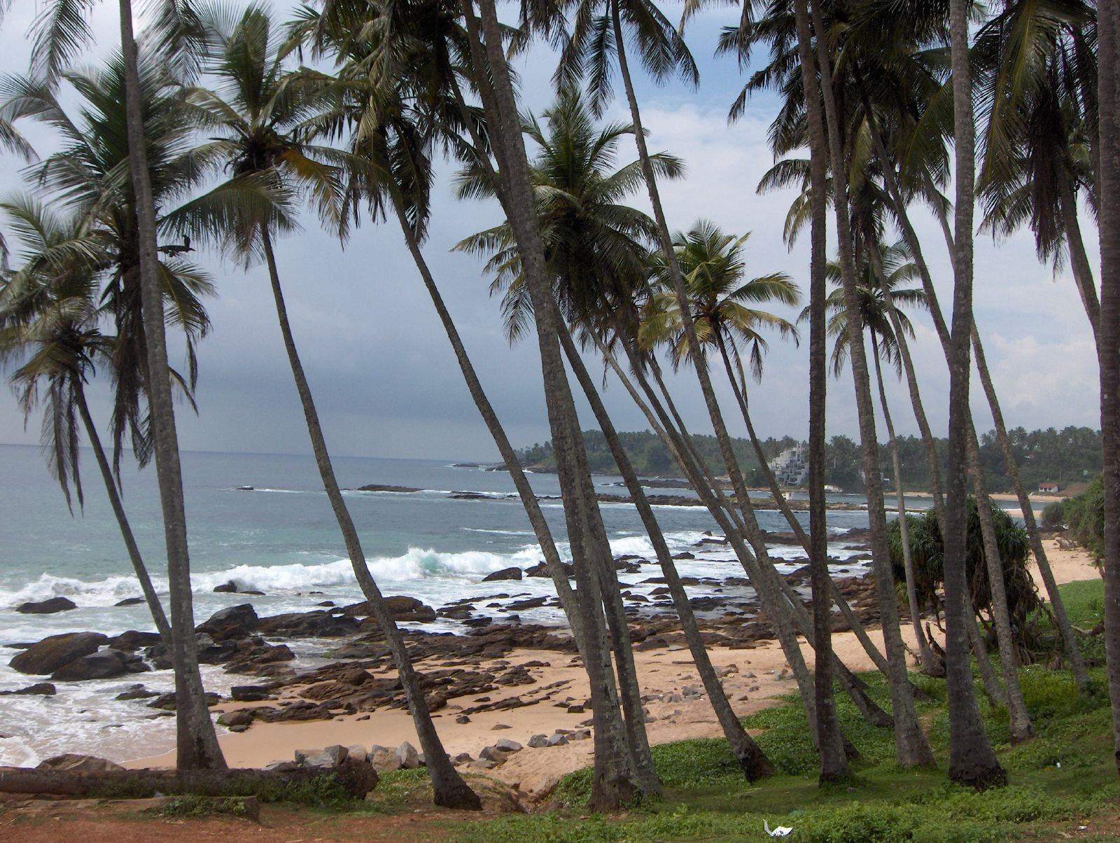Матара, Шри-Ланка, фото № 51737 – фотографии Шри-Ланки