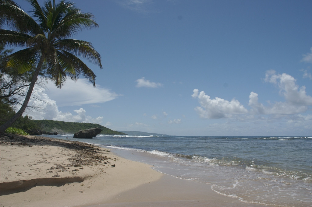 Море на Восточном побережье, Барбадос. Фото 11 – фотографии Барбадоса