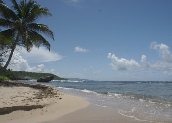 Море на Восточном побережье, Барбадос. Фото 11 – фотографии Барбадоса