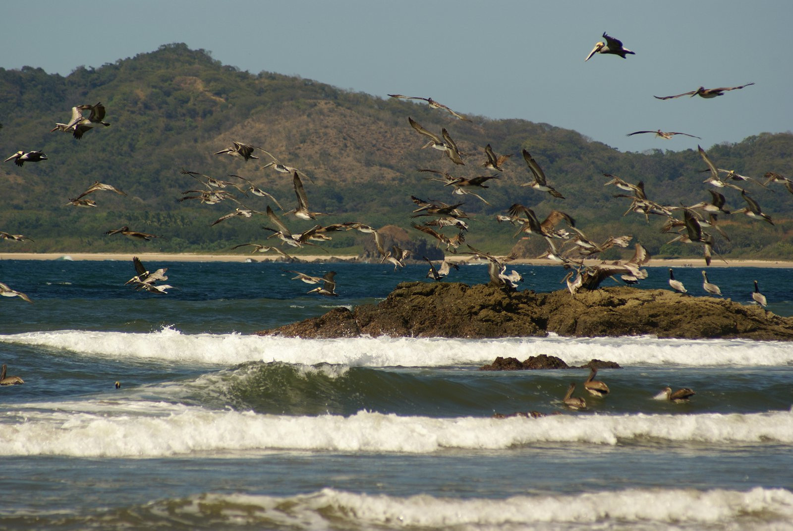 Тамариндо, Гуанакасте провинция, Коста-Рика, фото № 39963 – фотографии Коста-Рики