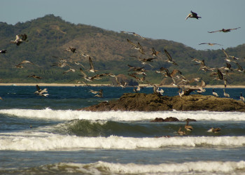 Тамариндо, Гуанакасте провинция, Коста-Рика, фото № 39963 – фотографии Коста-Рики