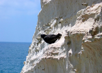 Израиль, фото № 1630 – фотографии Израиля