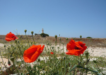 Пафос, Кипр, фото № 38510 – фотографии Кипра