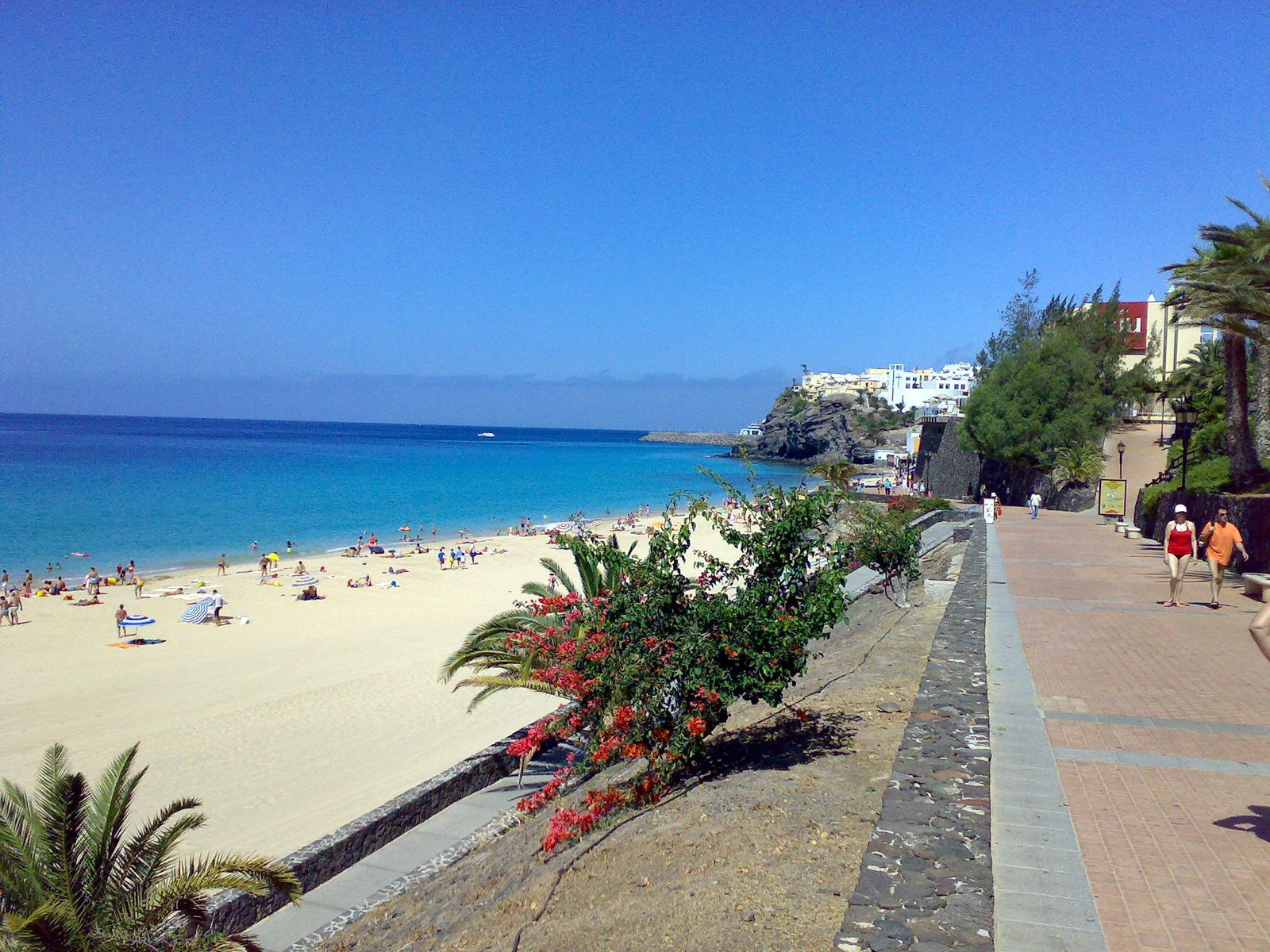 Морро-Хабле, Хандия полуостров, Фуэртевентура остров, Канарские острова, фото № 34351 – фотографии Канарских островов