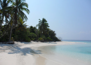Пляж в Баа Атолле, Мальдивы. Фото 1 – фотографии Мальдивских островов