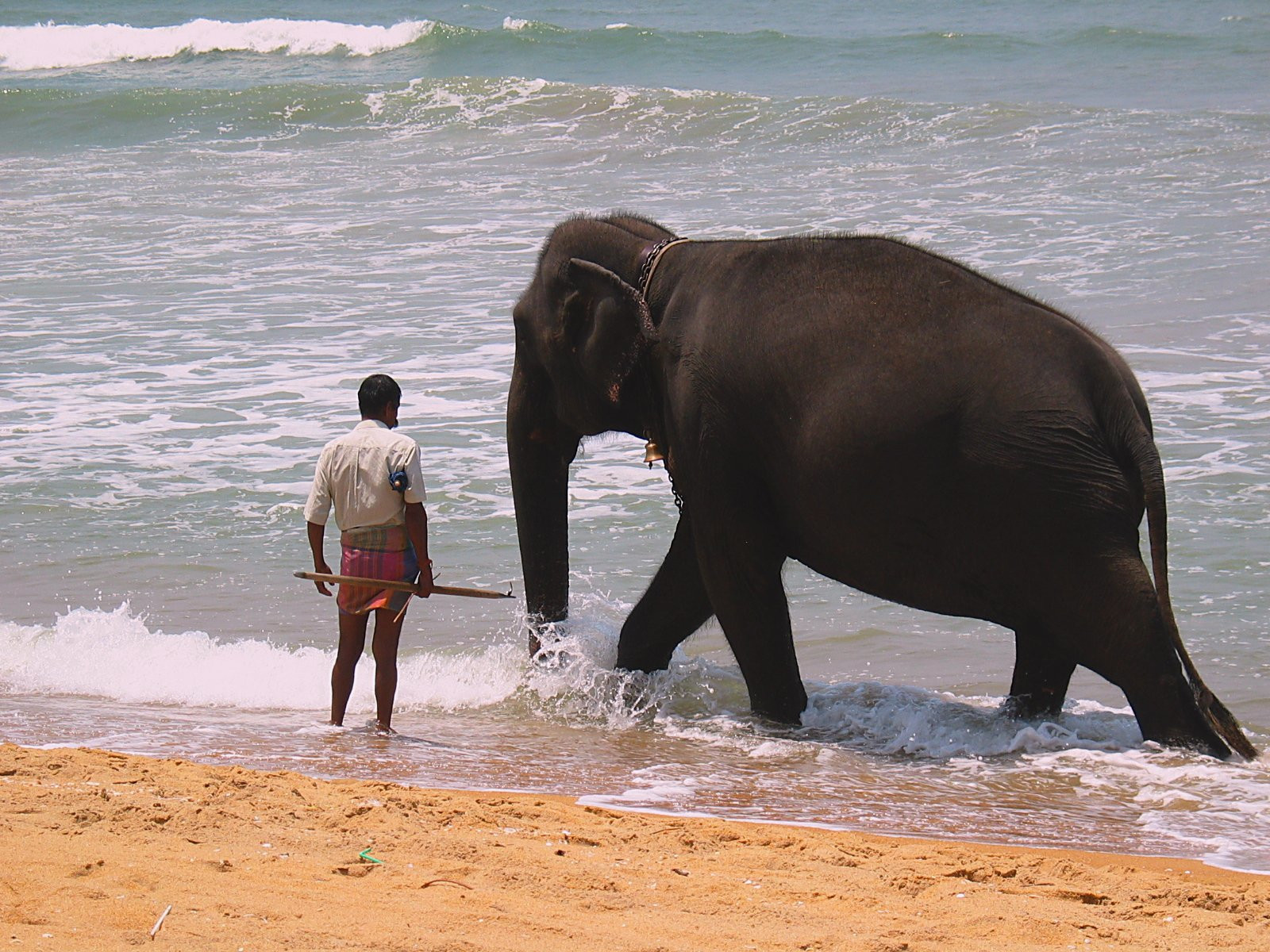 Ваддува, Шри-Ланка, фото № 50799 – фотографии Шри-Ланки