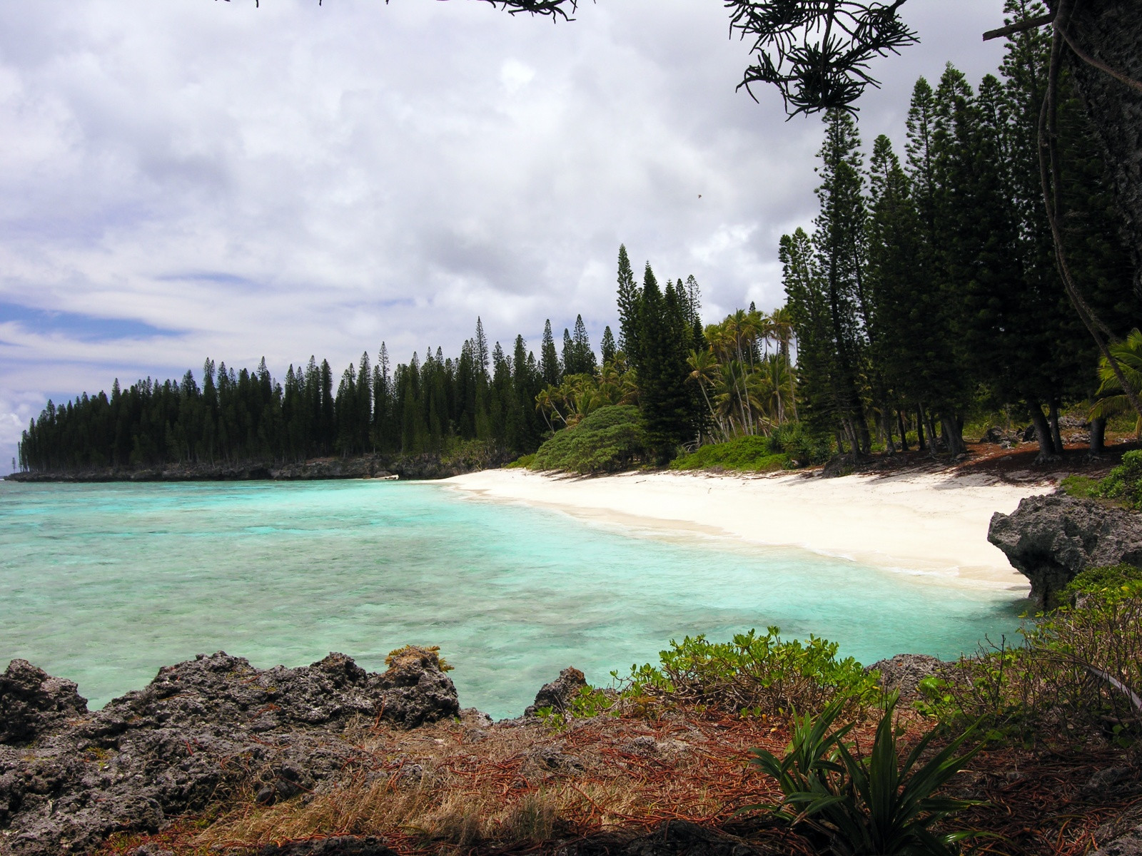 Остров Маре в Новой Каледонии – фотографии Новой Каледонии