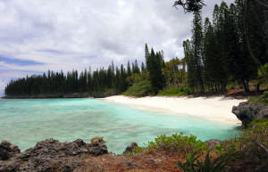 Остров Маре в Новой Каледонии – фотографии Новой Каледонии