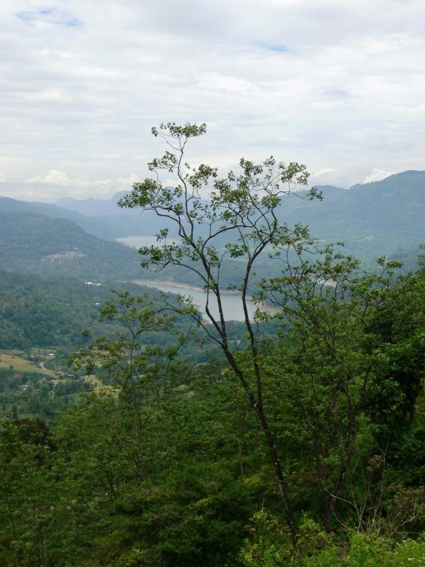 Нувара Элия, Шри-Ланка, фото № 52078 – фотографии Шри-Ланки