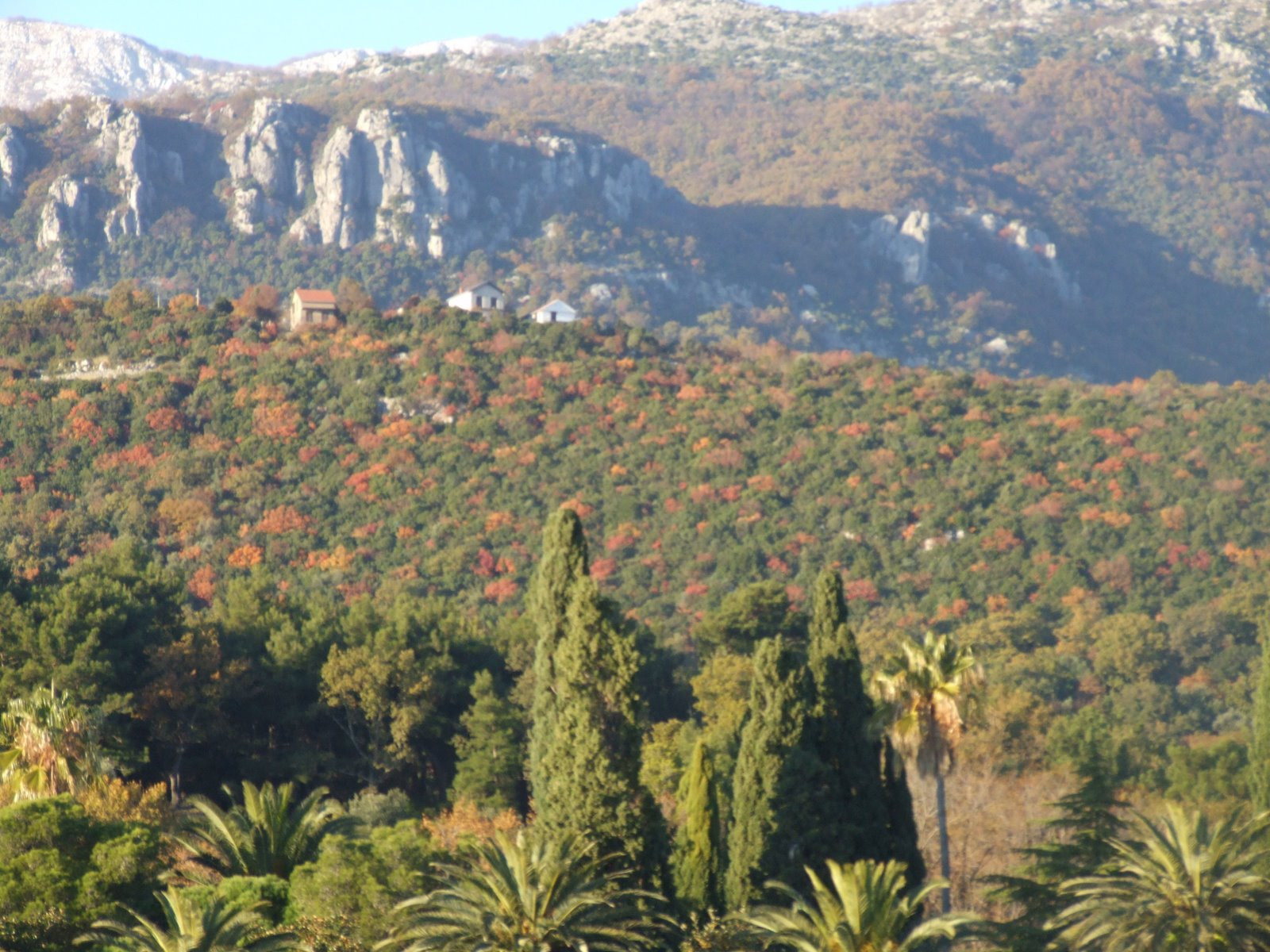 Природа в Херцег-Нови, Черногория – фотографии Черногории