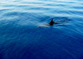 Шарм-эль-Шейх, Египет, фото № 35680 – фотографии Египта