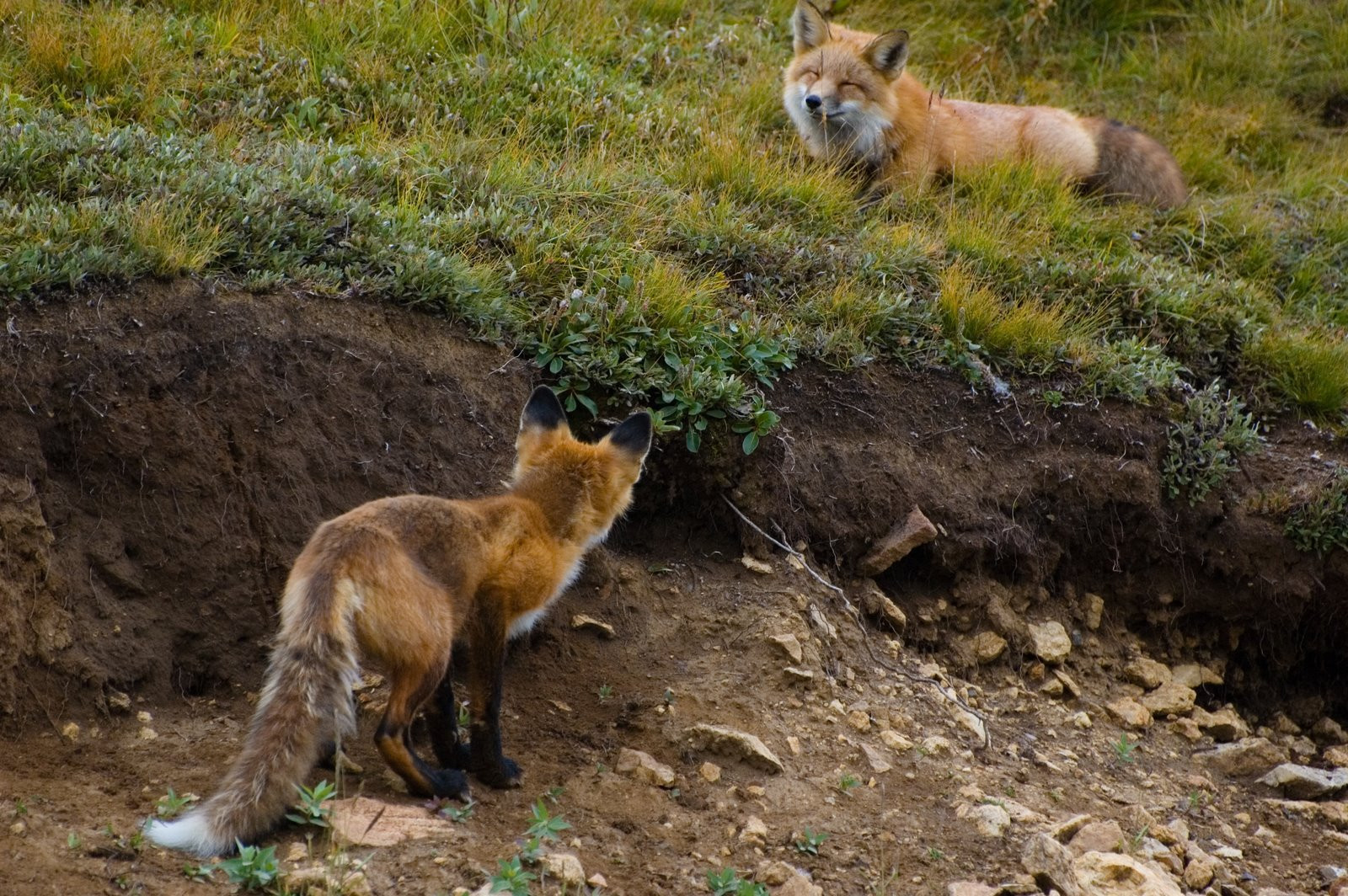 Аляска штат, США, фото № 67696 – фотографии США