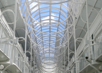 Руа 24 орас  или Улица 24 часа в Куритибе – фотографии Бразилии