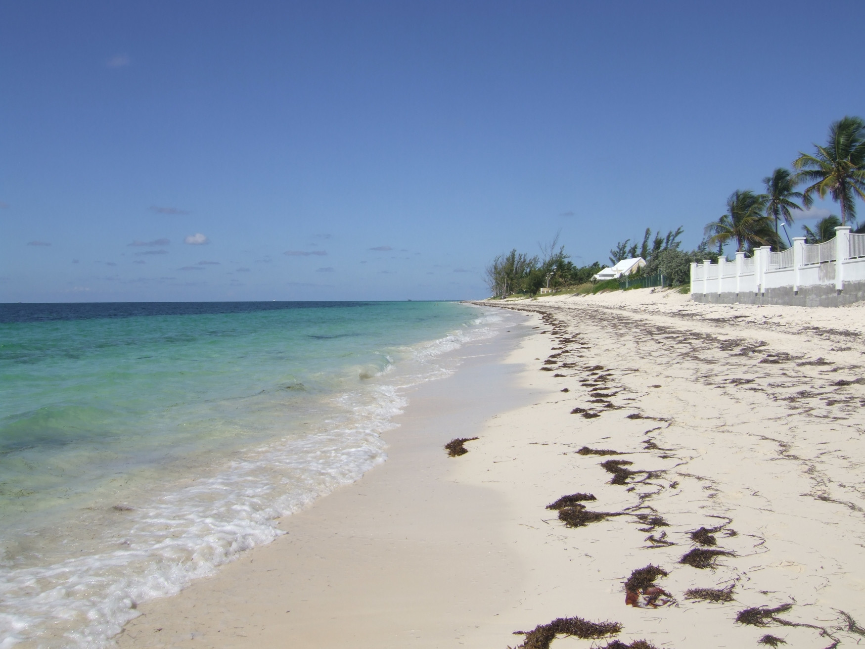 Берега в Гранд Багама, Багамские острова. Фото 3 – фотографии Багамских островов