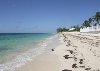 Берега в Гранд Багама, Багамские острова. Фото 3 – фотографии Багамских островов