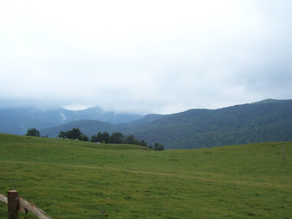 Поле Национального парка, Черногория – фотографии Черногории