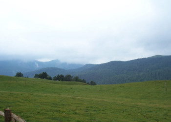 Поле Национального парка, Черногория – фотографии Черногории