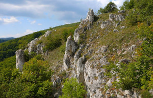 Бюкк Национальный Парк, Венгрия, фото № 70082 – фотографии Венгрии
