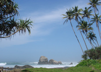 Коггала, Шри-Ланка, фото № 51556 – фотографии Шри-Ланки