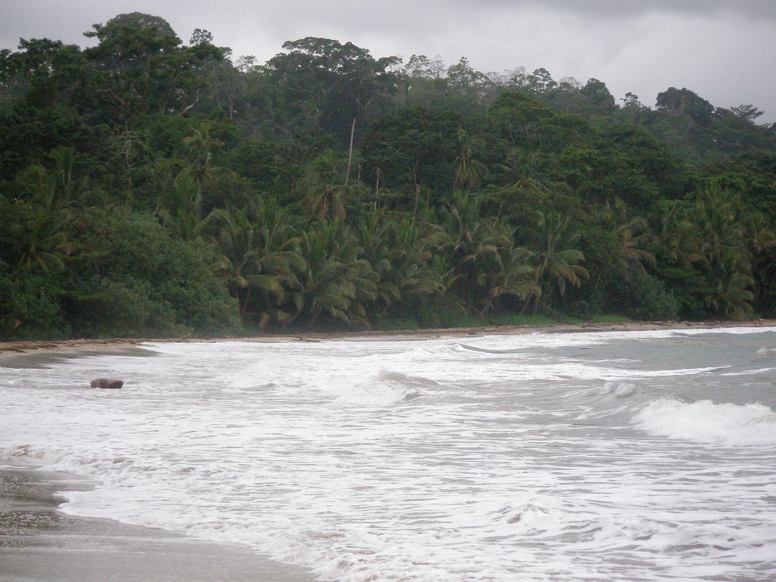 Пуэрто Вьехо, Лимон провинция, Коста-Рика, фото № 40227 – фотографии Коста-Рики