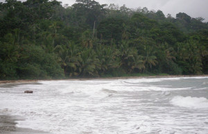 Пуэрто Вьехо, Лимон провинция, Коста-Рика, фото № 40227 – фотографии Коста-Рики