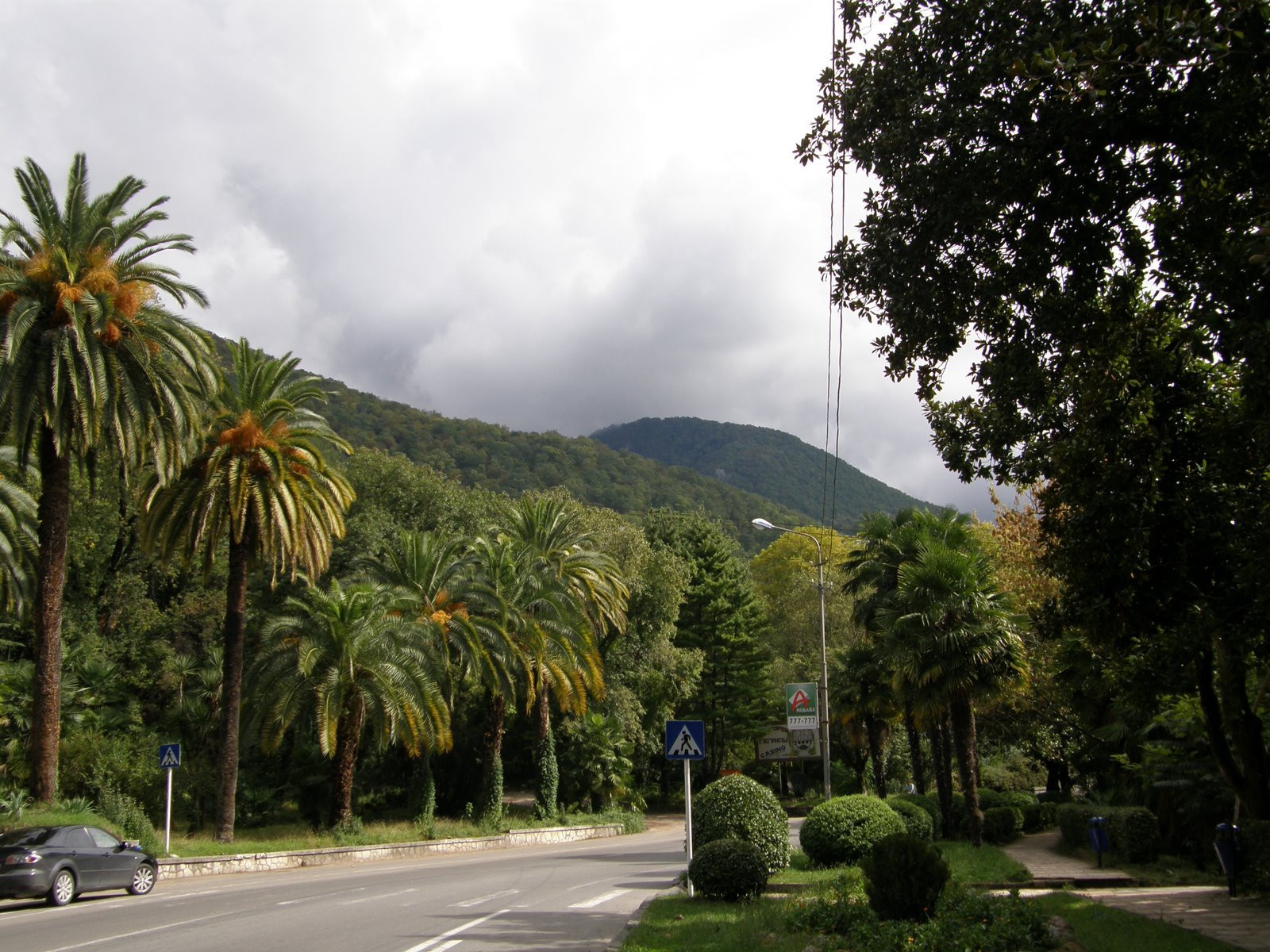 Природа Абхазии. Фото 6 – фотографии Абхазии