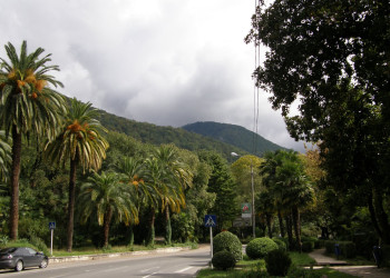 Природа Абхазии. Фото 6 – фотографии Абхазии