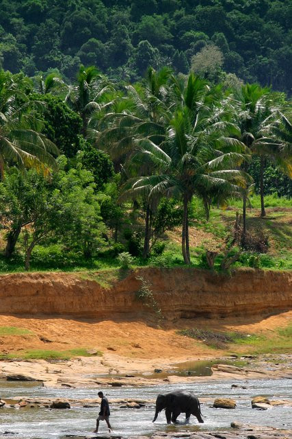 Шри-Ланка, фото № 1139 – фотографии Шри-Ланки