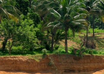 Шри-Ланка, фото № 1139 – фотографии Шри-Ланки