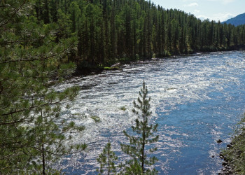 Река Хамсара, республика Тыва, Россия. Фото 1 – фотографии России