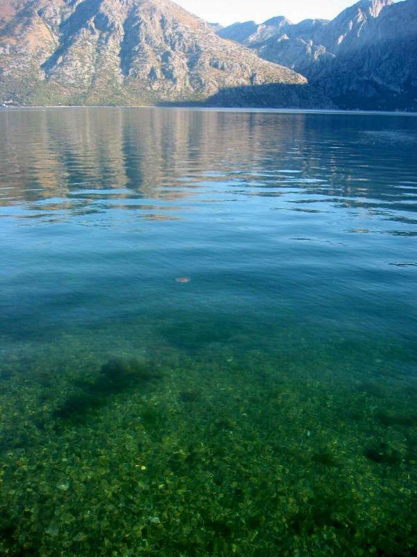 Море в Которском заливе, Черногория. Фото 17 – фотографии Черногории